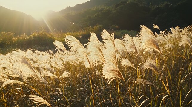A picturesque scene of an open field, filled with tall grass bending under the force of the wind, conveying the feeling of a breezy day and the dynamic beauty of the natural environment. 