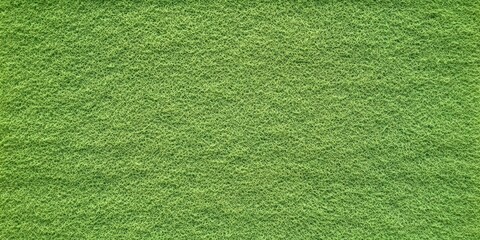 Green Felt Texture Background for Various Use