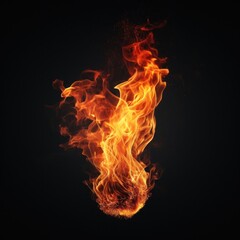 Flame spark bonfire illuminated exploding.