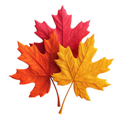 Obraz premium Autumnal Maple Leaves