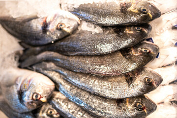 Sea bass neatly arranged on ice, showing freshness. Ideal for seafood promotions or grocery content.