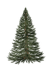 Christmas tree watercolor. Hand drawn vintage evergreen tree isolated on white background. Clip art of Christmas and New Year symbol. Ideal for greeting cards, posters and home crafts design