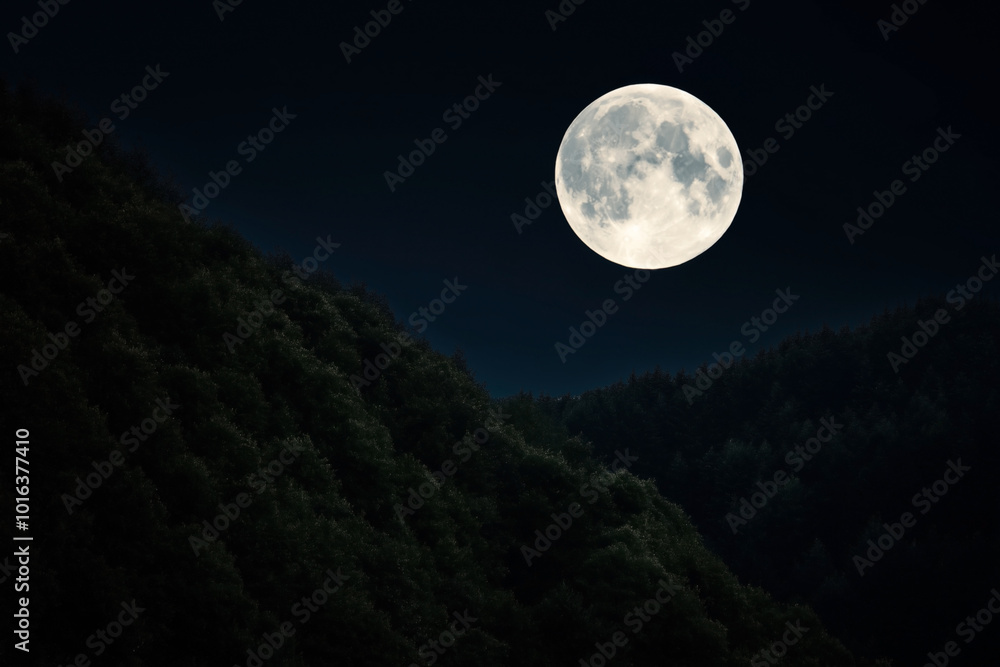 Canvas Prints Full moon shining brightly in the night sky over a forested mountain landscape, casting a serene and tranquil ambiance.