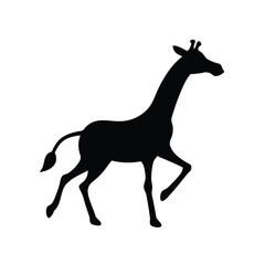 Giraffe silhouette 