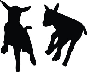 Baby goat silhouette 