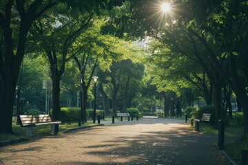 Obraz premium Park outdoors nature street.