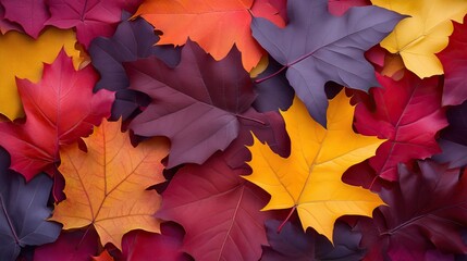 Fototapeta premium Colorful autumn leaves in shades of red, orange, and yellow, creating a vibrant natural tapestry.