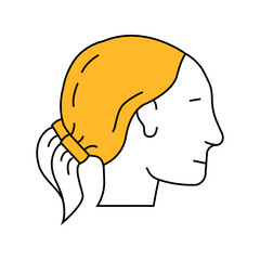 pigtails hairstyle female line icon vector. pigtails hairstyle female sign. isolated symbol illustration