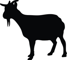 Goat standing, walking and running silhouette 
