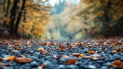 Obraz premium Close-up of gravel scattered across the ground, copy space above