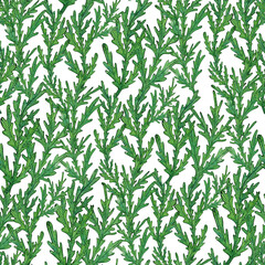 Seamless pattern of chamomile leaves in green tones. Watercolor illustration with detailed, hand-painted foliage, and greenery. Naive, nature-inspired, for fabric prints, and botanical projects