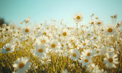 Dreamlike Landscapes and Mystical Gardens with Vibrant Flowers and Glowing Nature