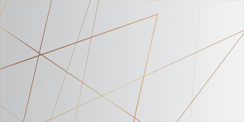 abstract Luxury banner presentation line background.background, pattern, abstract, business, texture, design, technology, banner, frame, vintage, art, illustration, party, light, concept.
