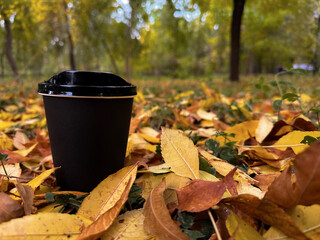 To-go coffee cup standing on the ground surrounded by fallen autumn leaves in a park