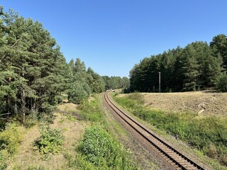 Railway tracks in the middle of a green forest in summer.