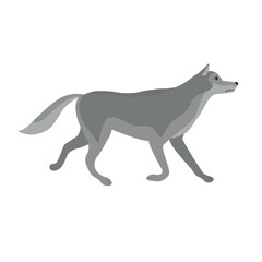 Vector flat hand drawn wolf isolated on white background