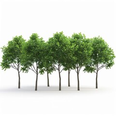 Obraz premium Outside trees landscaped shapes cutout backgrounds 3d render png isolated on white 