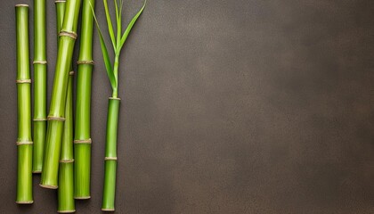 Obraz premium Bamboo stalks arranged on a textured dark background, highlighting natural beauty.