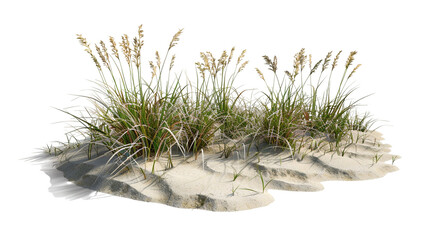 A coastal restoration project features a wave-like arrangement of sea oats and beach grass, designed to prevent erosion. The design is isolated on a PNG background. 