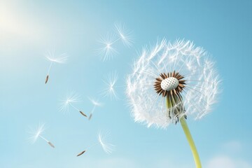 Dandelion seed head blowing in the wind against a clear blue sky.
