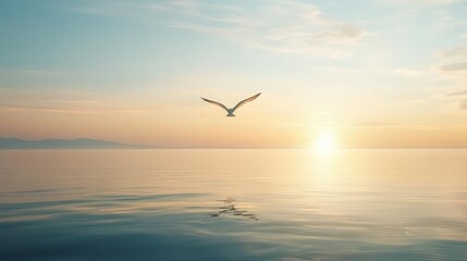Fototapeta premium Seagull flying over calm water at sunset, creating a serene atmosphere.
