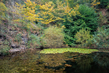 secret Earnslaw lake, Malvern Hills, Worcestershire, England