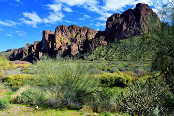 Salt River Recreation Area Arizona