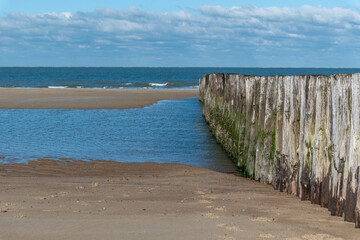 Wooden breakwaters on the North Sea