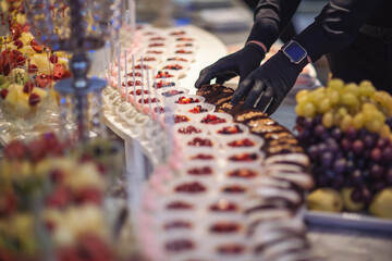 Catering food, food wedding celebration. caterer arranges array of appetizers on a serving table, showcasing a variety of fresh and delicious options. hands of a waiter prepare food for a buffet table
