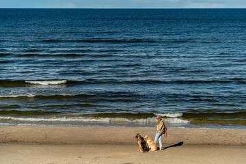 Woman walking on seaside with dogs