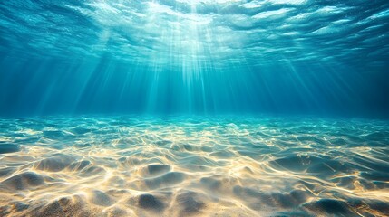 Powerful Underwater Current Sweeping Sand and Marine Life Along Ocean Floor