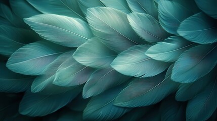 an elegant highresolution photo showcasing a background of delicate feathers arranged in a minimalist style,a soothing sage green color palette that exudes a sense of calm and sophistication