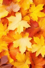 Obraz premium Vibrant Autumn Leaves Background.