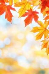 Obraz premium Autumn Leaves with Bokeh Background.