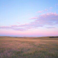 Obraz premium A panoramic shot of a wide-open prairie at sunrise, with the sky painted in soft pastel hues and a distant tree line
