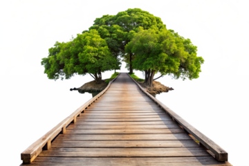 wooden walkway leading to a small island with tree png
