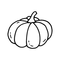 Pumpkin. Autumn harvest. Halloween. Doodle. Vector illustration. Hand drawn. Outline.