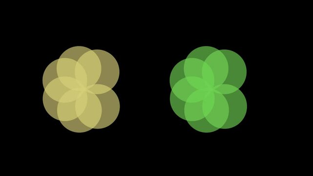 Blooming in Circle Animation Creative Shape to flowers makeing Alpha channel on black screen background,   Shape to flowers, yallow and grenn color, Alpha