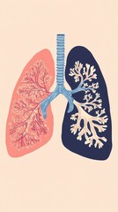 Detailed illustration of human lungs highlighting the bronchial tree structure and unique features