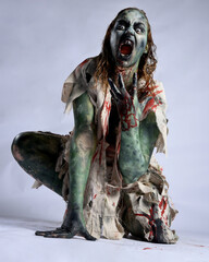 portrait of scary female model wearing spooky halloween costume, ripped clothes and fake blood like...