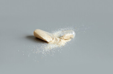 Opened Medical capsule to show beige powder on grey closeup. Dietary supplements