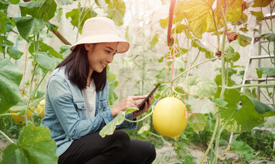 Asian woman happy smiling farmer farming nurturing melon in greenhouse biome, botanist using tablet analyzing studying recording science data of melon fruit plant water nutrition growth breeding.