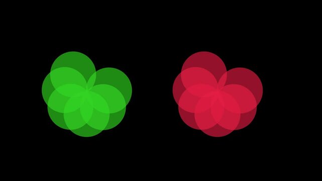 Creative Shape to flowers makeing Alpha channel on black screen background , Shape to flowers, green and red color,BRG Alpha