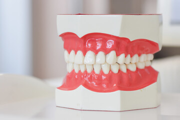 Modern denture model in dental laboratory