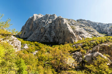 Paklenica National Park gorge with white limestone rock walls and green trees in the late summer in the sunny day, hot and dry season by the sea coast