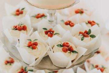 Beautiful holiday cupcakes with raspberries. Festive treat. 