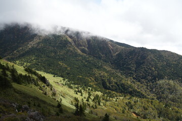 Fototapeta premium Mountain Neko to Azumaya