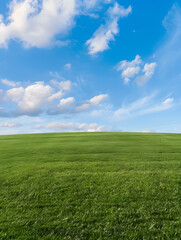Fototapeta premium A picturesque natural landscape featuring a lush green grassland under a blue sky with fluffy white cumulus clouds in the background