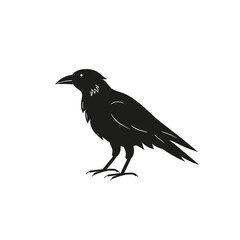 Crow. Black and white vector simple illustration.