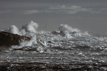   Storm in the coast